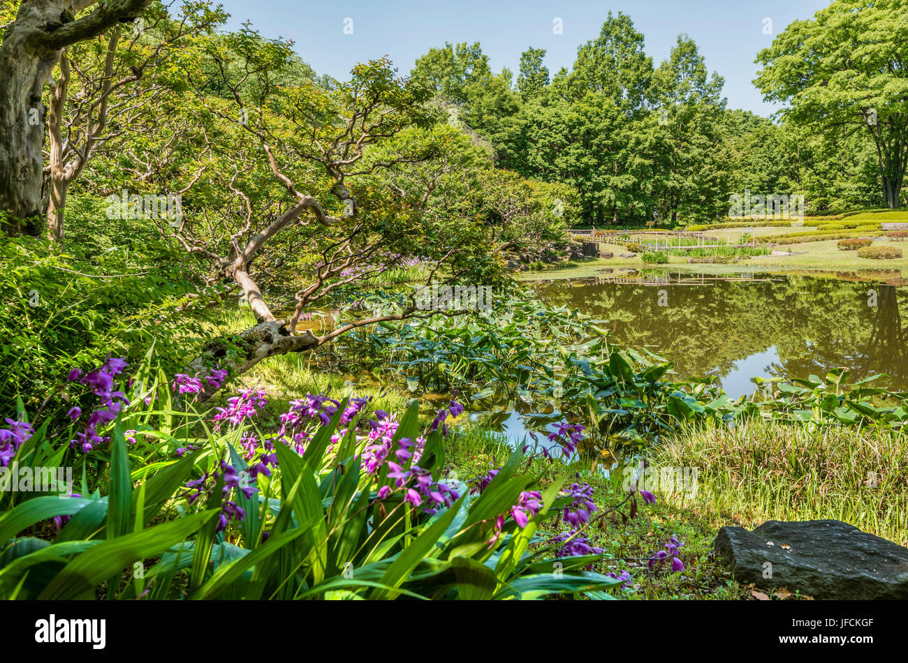 Ninomaru Garden at the East Gardens of the Imperial Palace, Tokyo, Japan Stock Photo