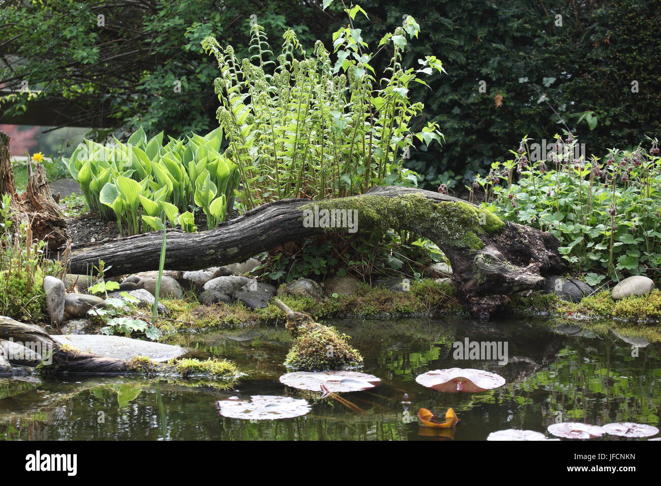 Lebensraum teich hires stock photography and images Alamy