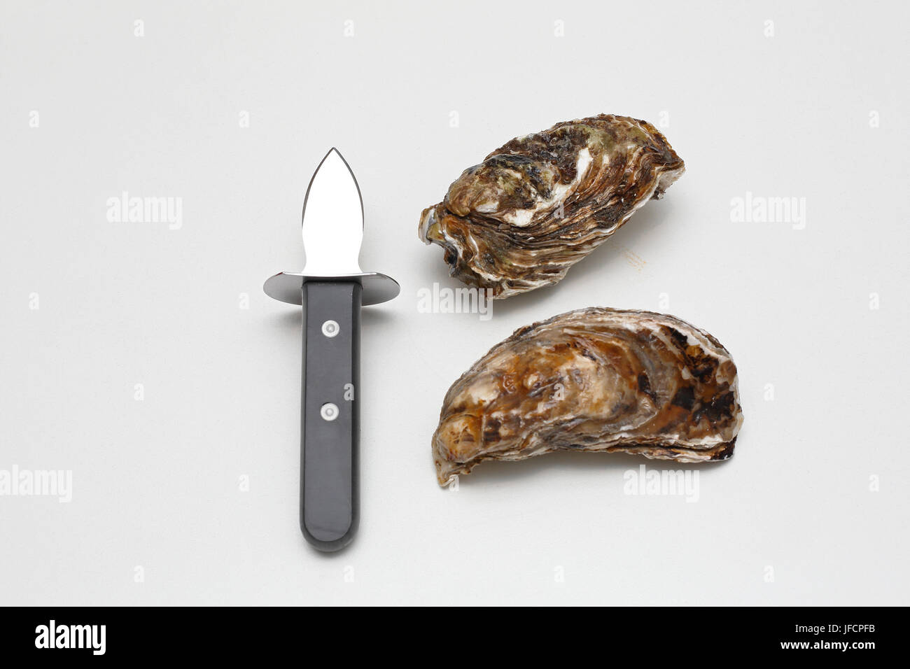 Shucking Knife and Oysters Stock Photo