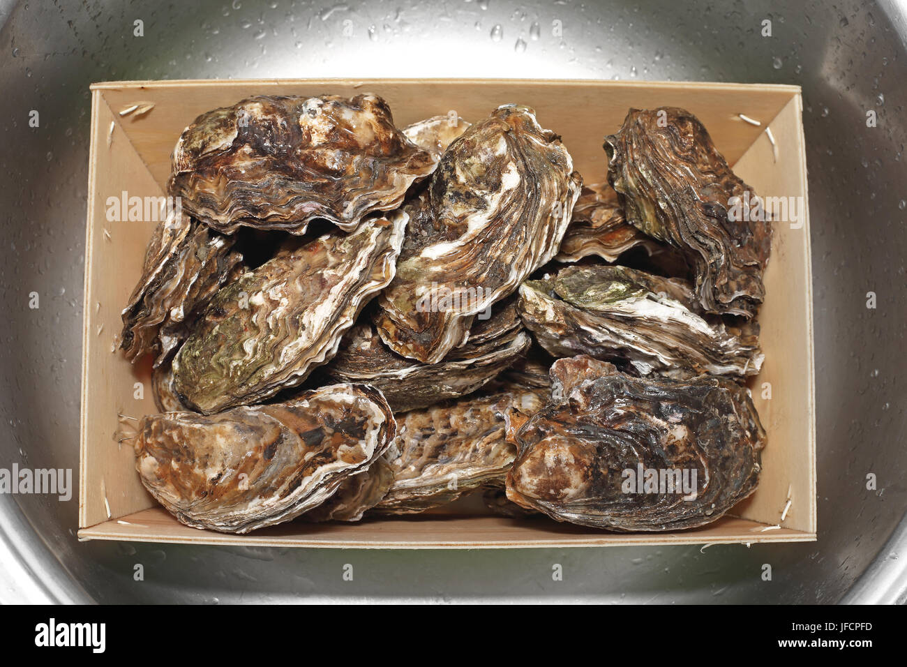Oysters in shells hires stock photography and images Alamy
