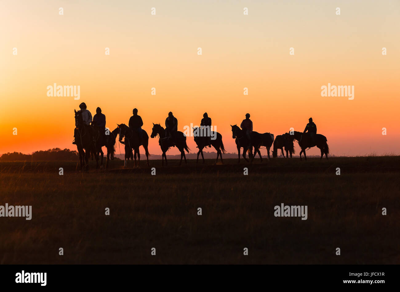 Race horses dawn silhoutted animals riders traing track landscape Stock ...