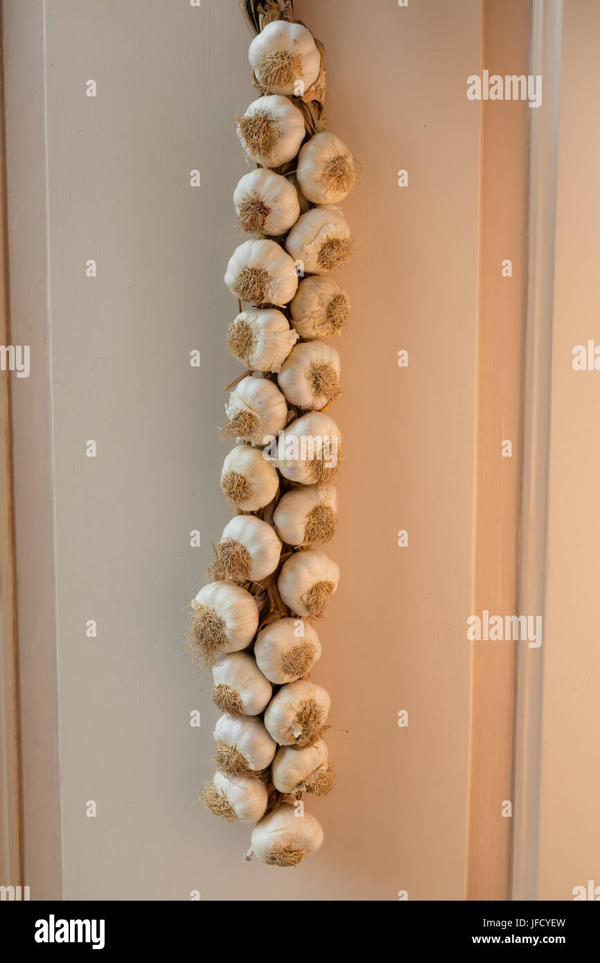 A garlic braid Stock Photo