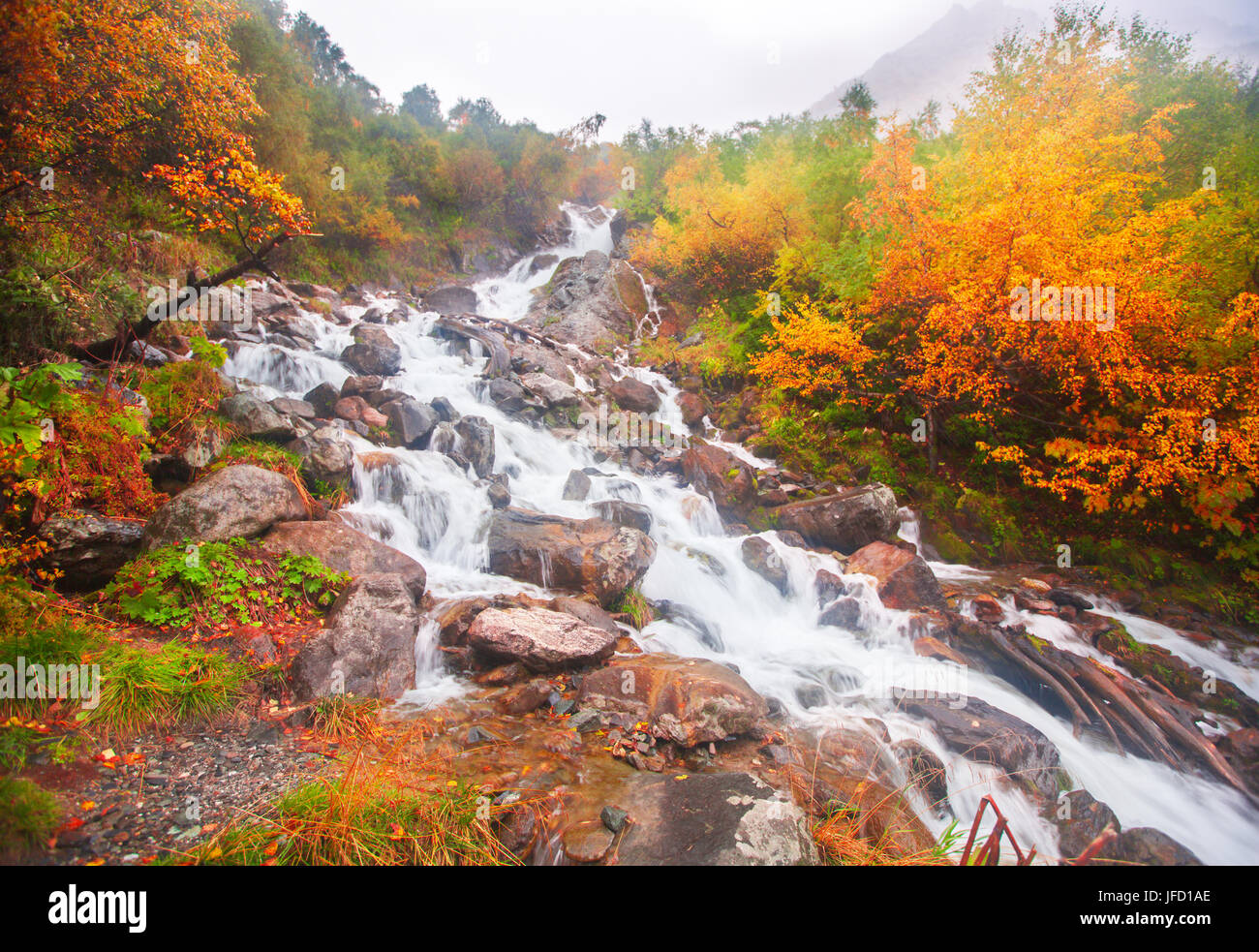 beautiful cascade waterfall in autumn forest Stock Photo
