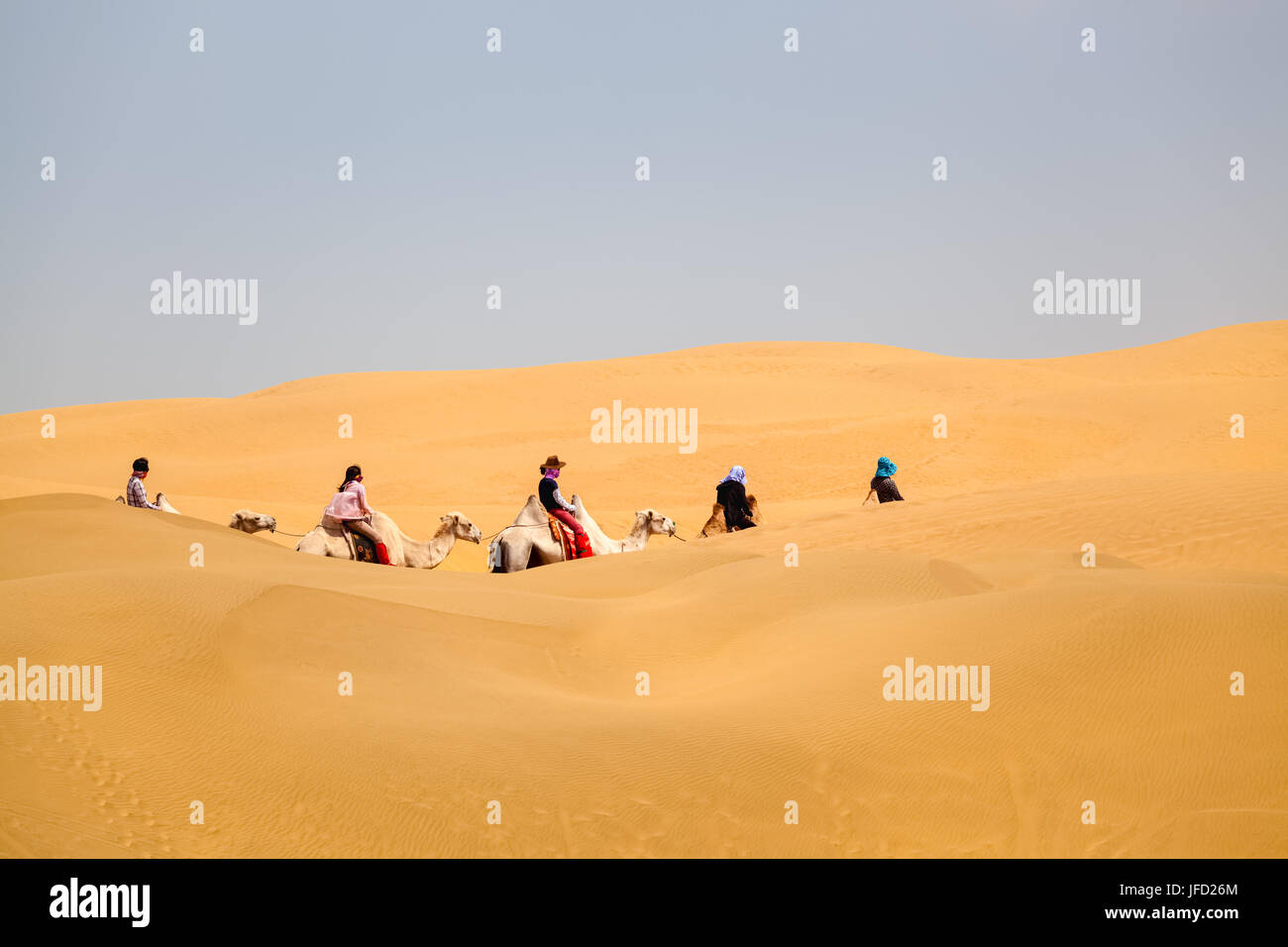 camels caravan in desert Stock Photo