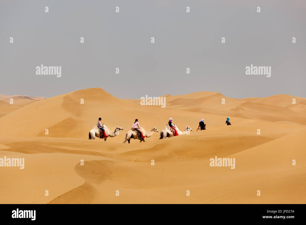 camels caravan riding in desert Stock Photo