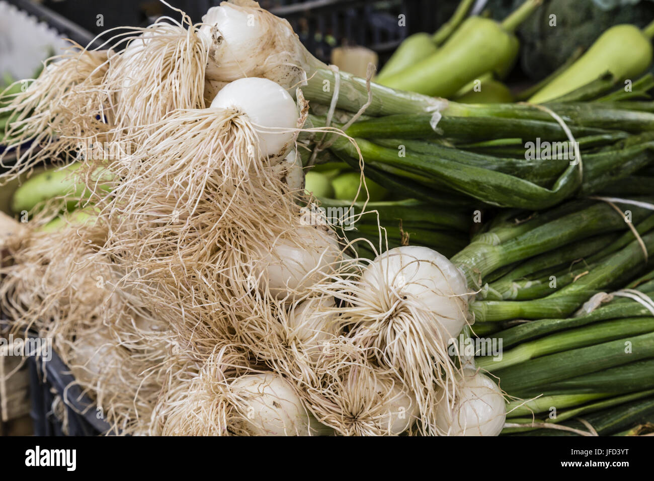 spring onions on the market Stock Photo