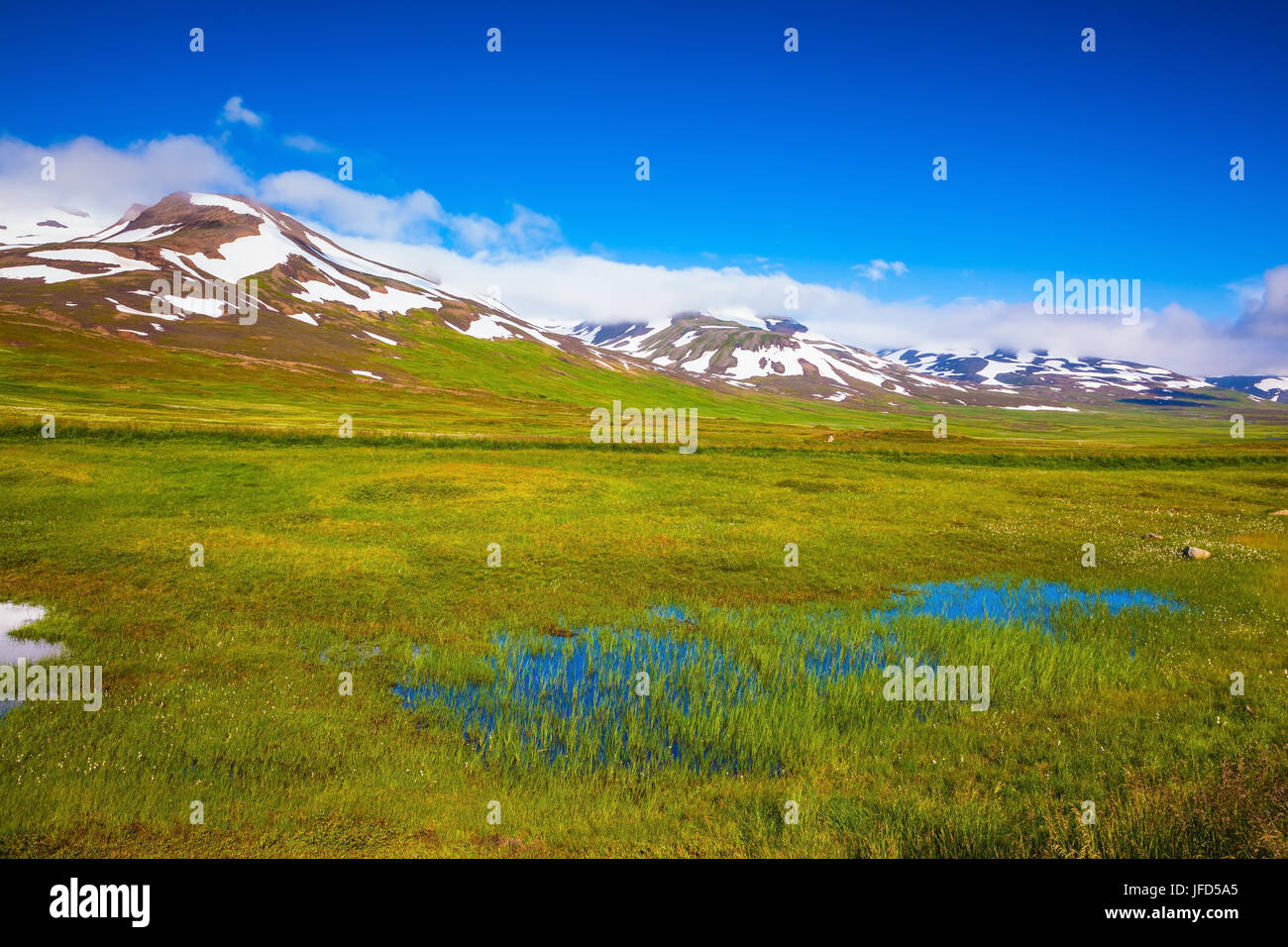 Summer Iceland. Small lake among the fields Stock Photo