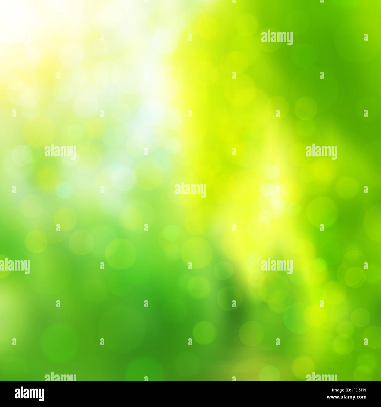 Soft green highlights hi-res stock photography and images - Alamy
