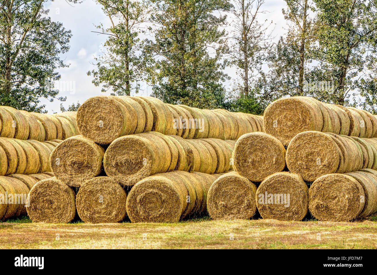 Stacked straw bales Stock Photo Alamy