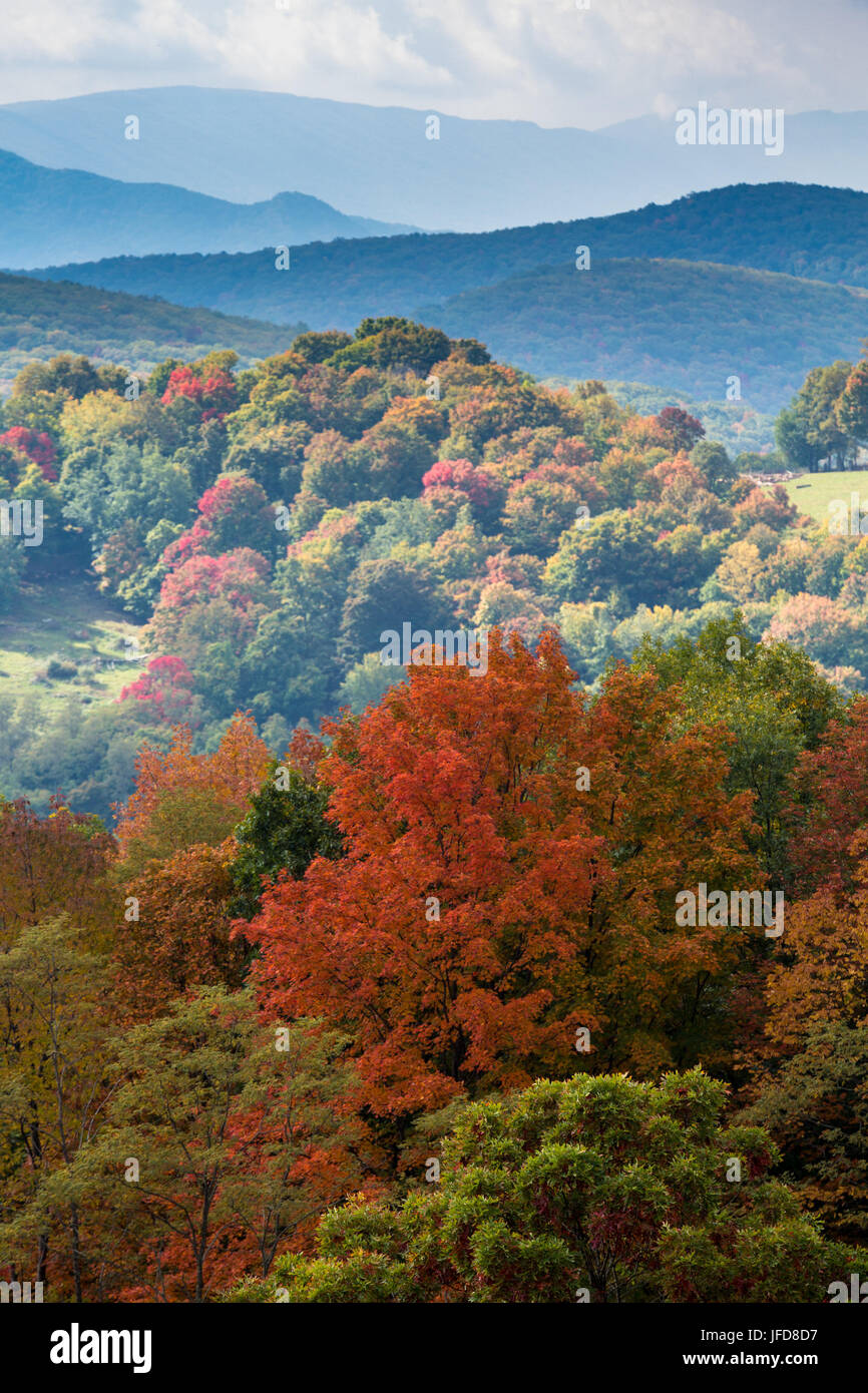 Colorful autumn leaves in West Virginia Stock Photo