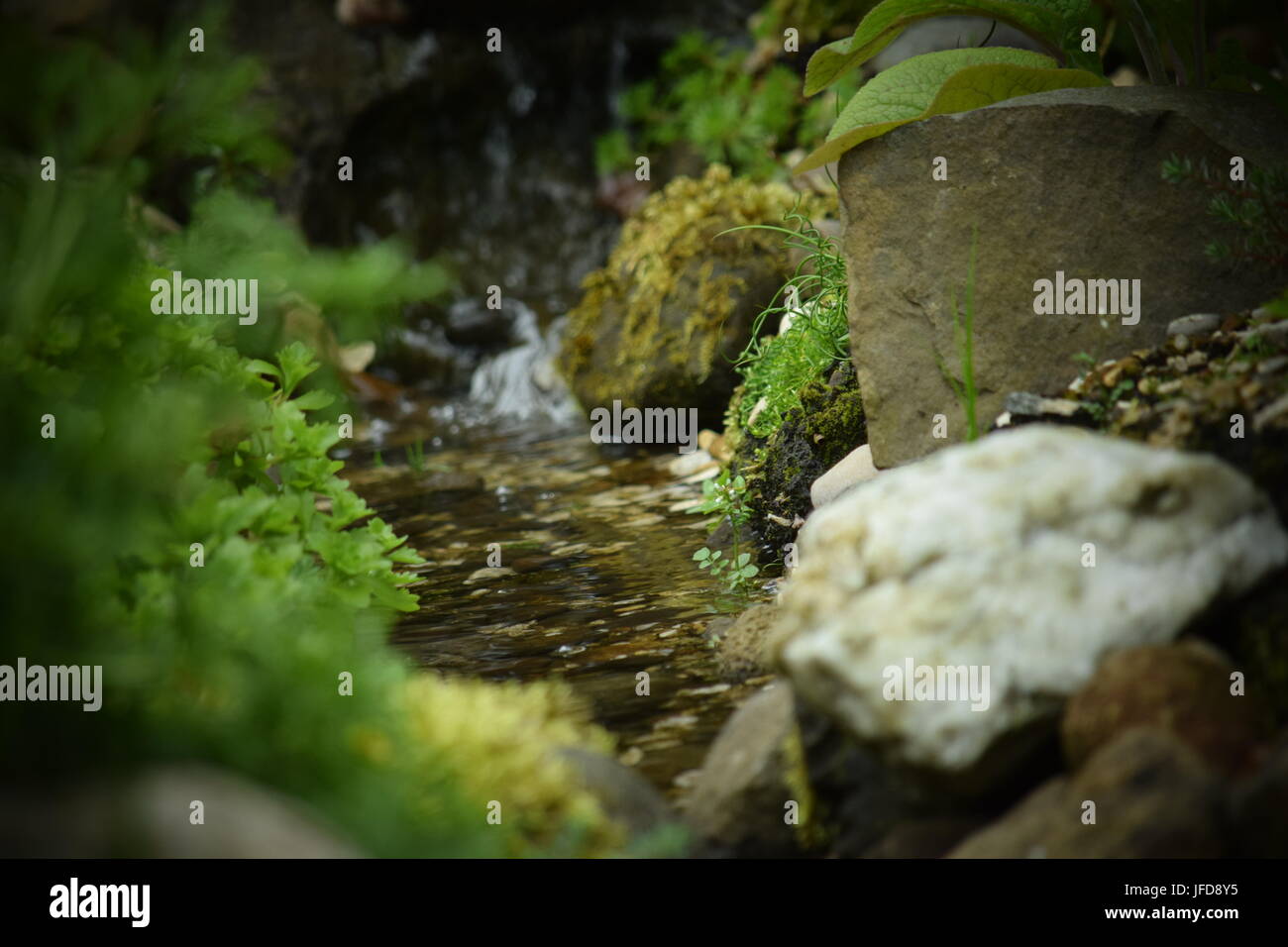 Stream in a garden rockery Stock Photo - Alamy