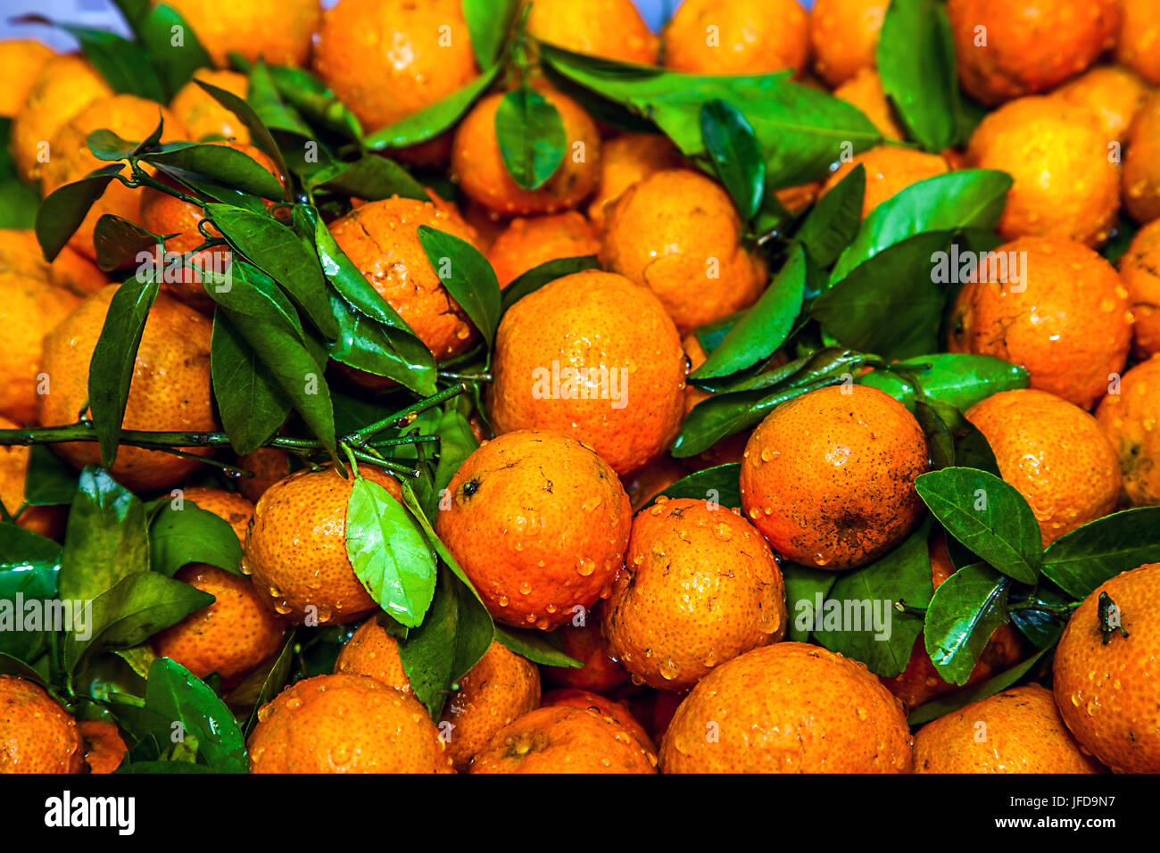 Leaf clementines on a market in Thailand Stock Photo Alamy