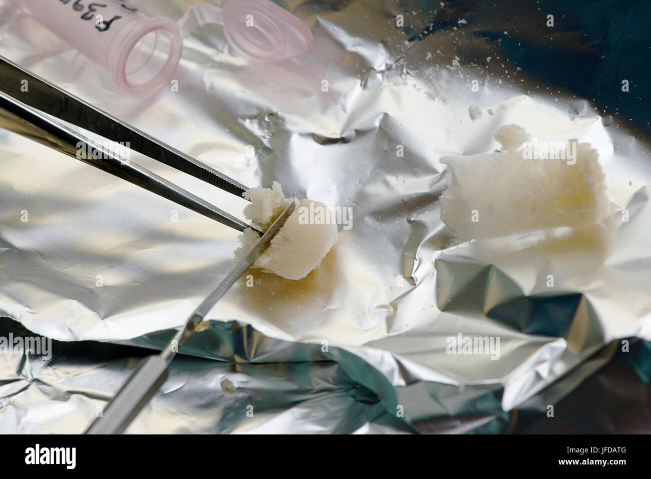 Preparation of samples of collagen for radiocarbon dating. Stock Photo