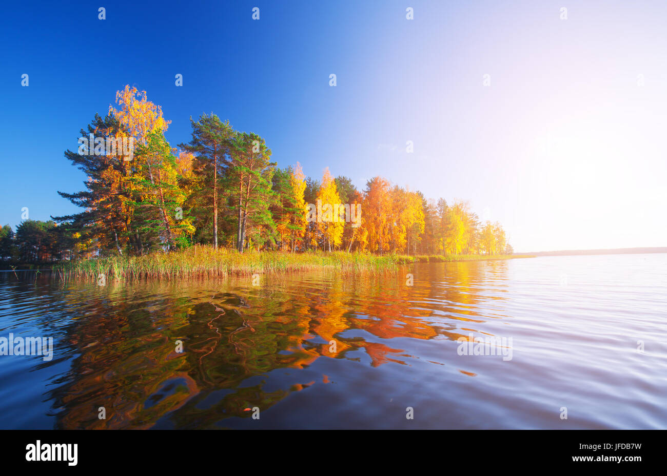 Autumnal Park. Autumn Trees and lake Stock Photo - Alamy