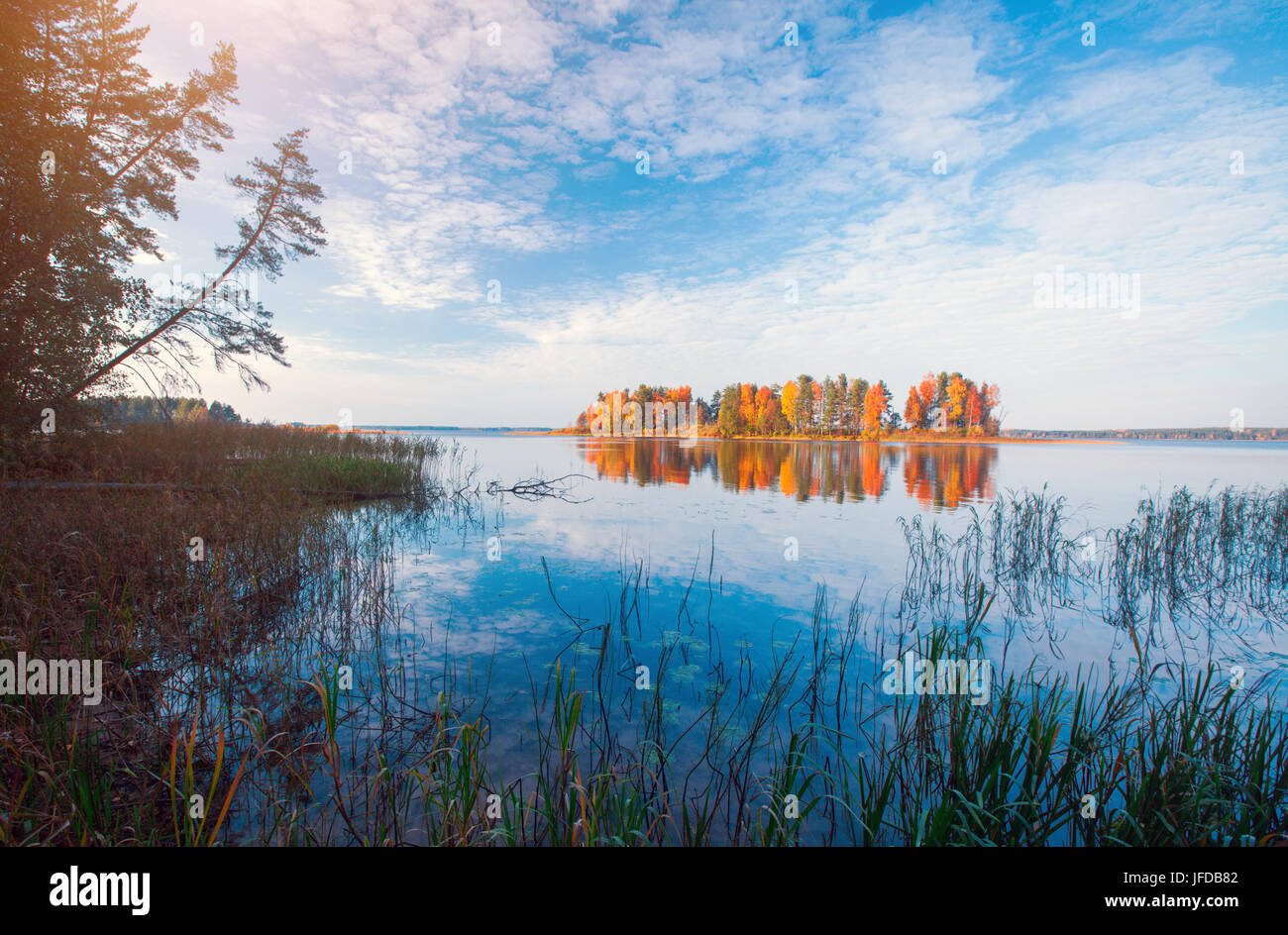 Autumnal Park. Autumn Trees and lake Stock Photo - Alamy