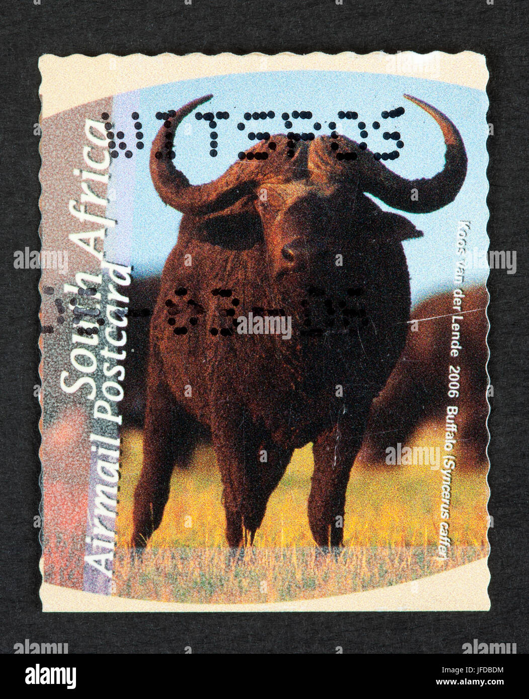 South African postage stamp Stock Photo Alamy