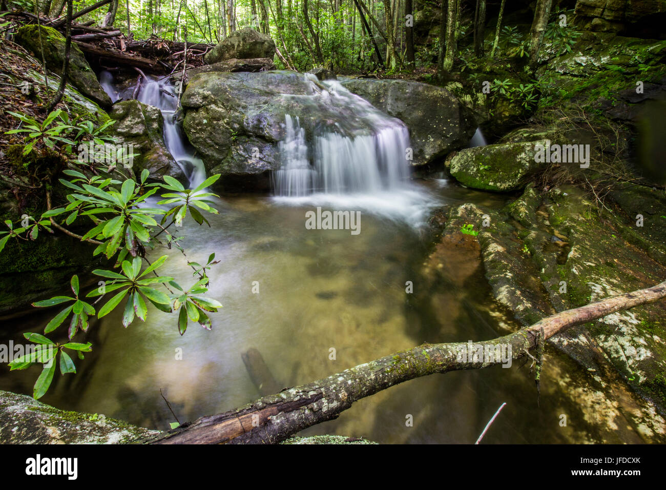 A stream flows through a pristine wilderness. Stock Photo