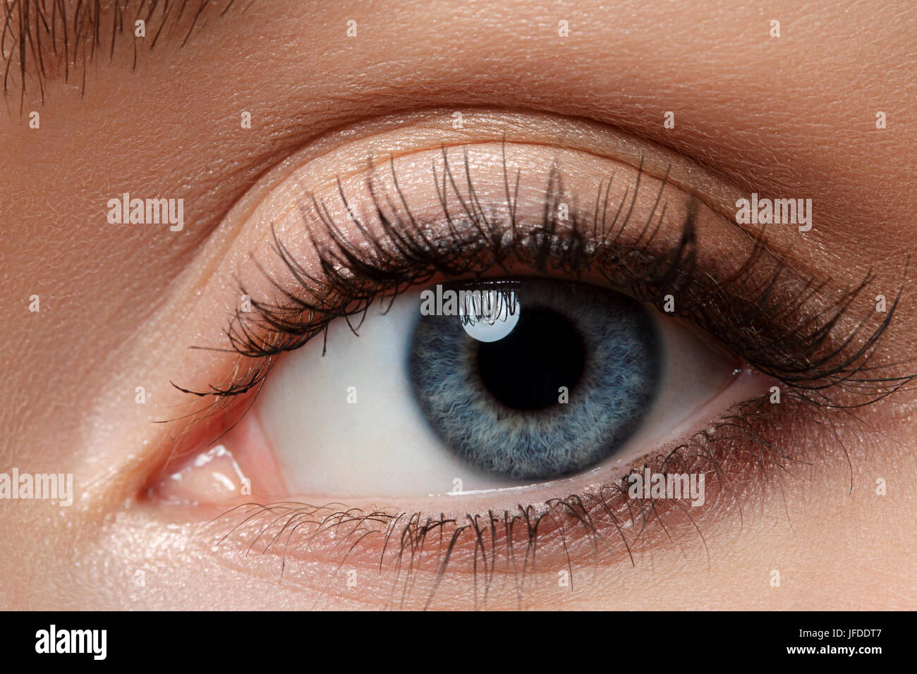 Beautiful human eye contact lens hires stock photography and images