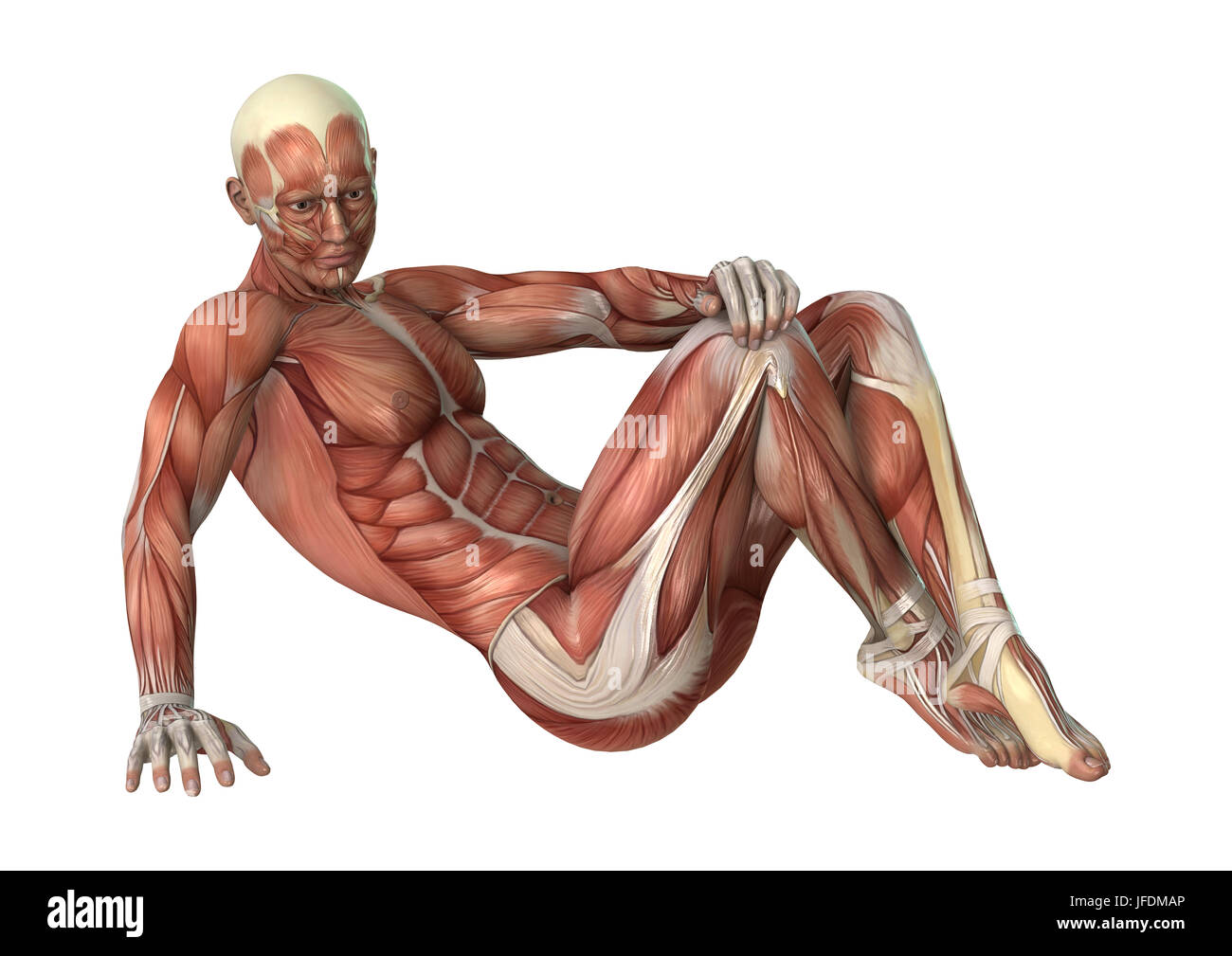 Rest Muscle Map 3D rendering of a male figure with muscle maps isolated on white ...