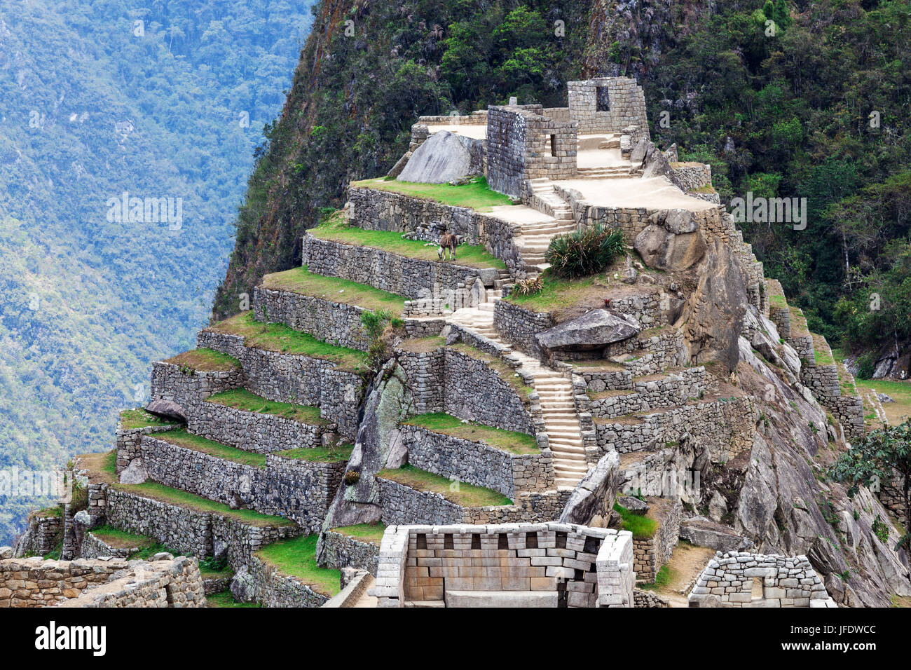 old ruins in Machu Picchu Stock Photo - Alamy