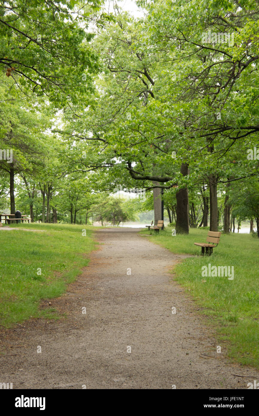 Conservation land (Caddy Memorial Park in Quincy, MA) Stock Photo