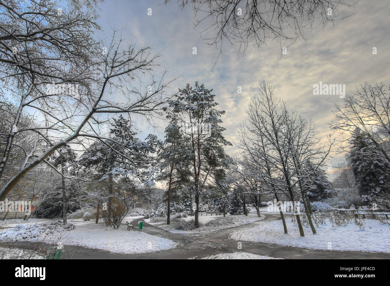 The winter park hi-res stock photography and images - Alamy