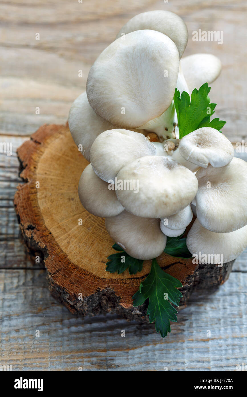 Oyster mushrooms and parsley sprig. Stock Photo