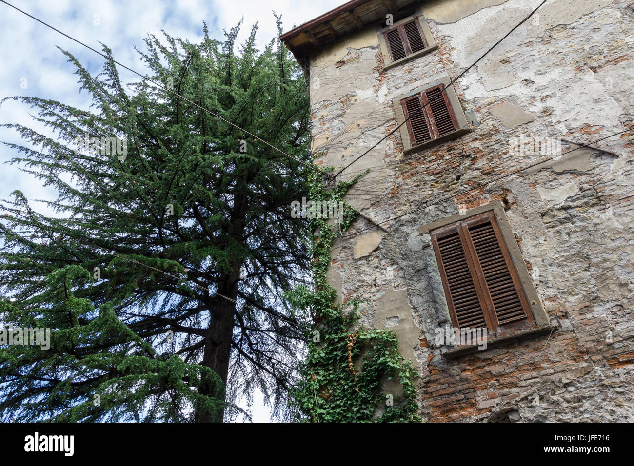 Ancient house with tree Stock Photo