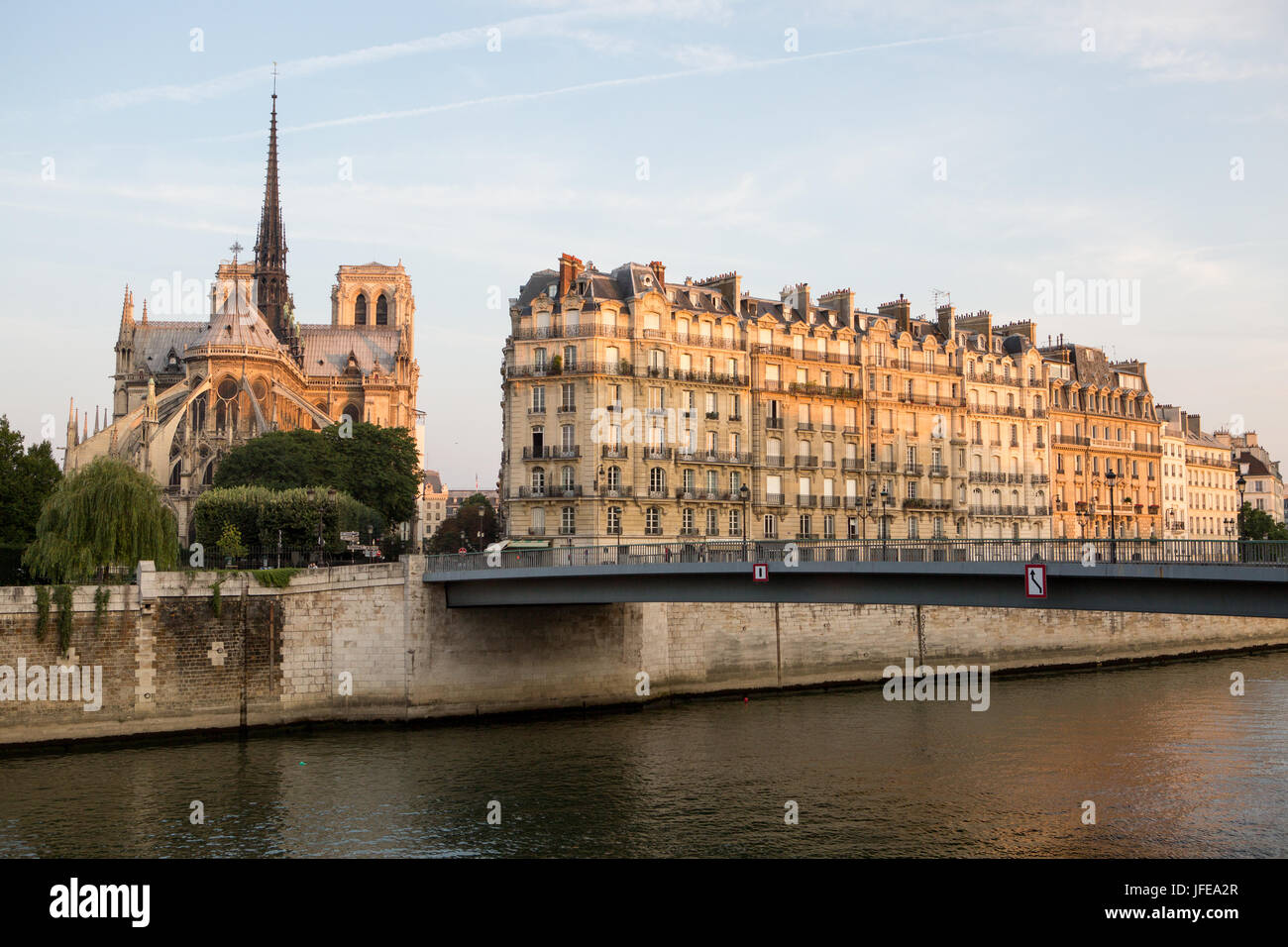 A view of the Notre Dame Cathedral, a footbridge and buildings on Ile de la Cite. Stock Photo