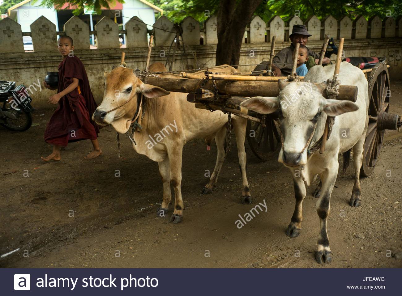 oxen trailer oxen trailer