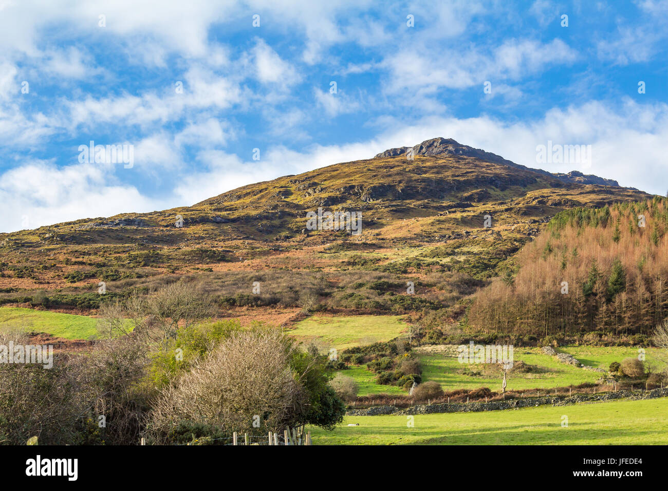 Slieve Foy, Carlingford Mountain, shot from Carlingford, County Louth, Ireland Stock Photo