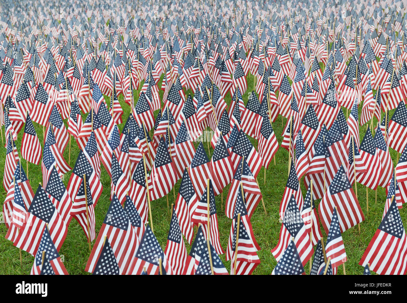 American flags planted in memory of servicemen, Memorial Day, Boston, MA Stock Photo