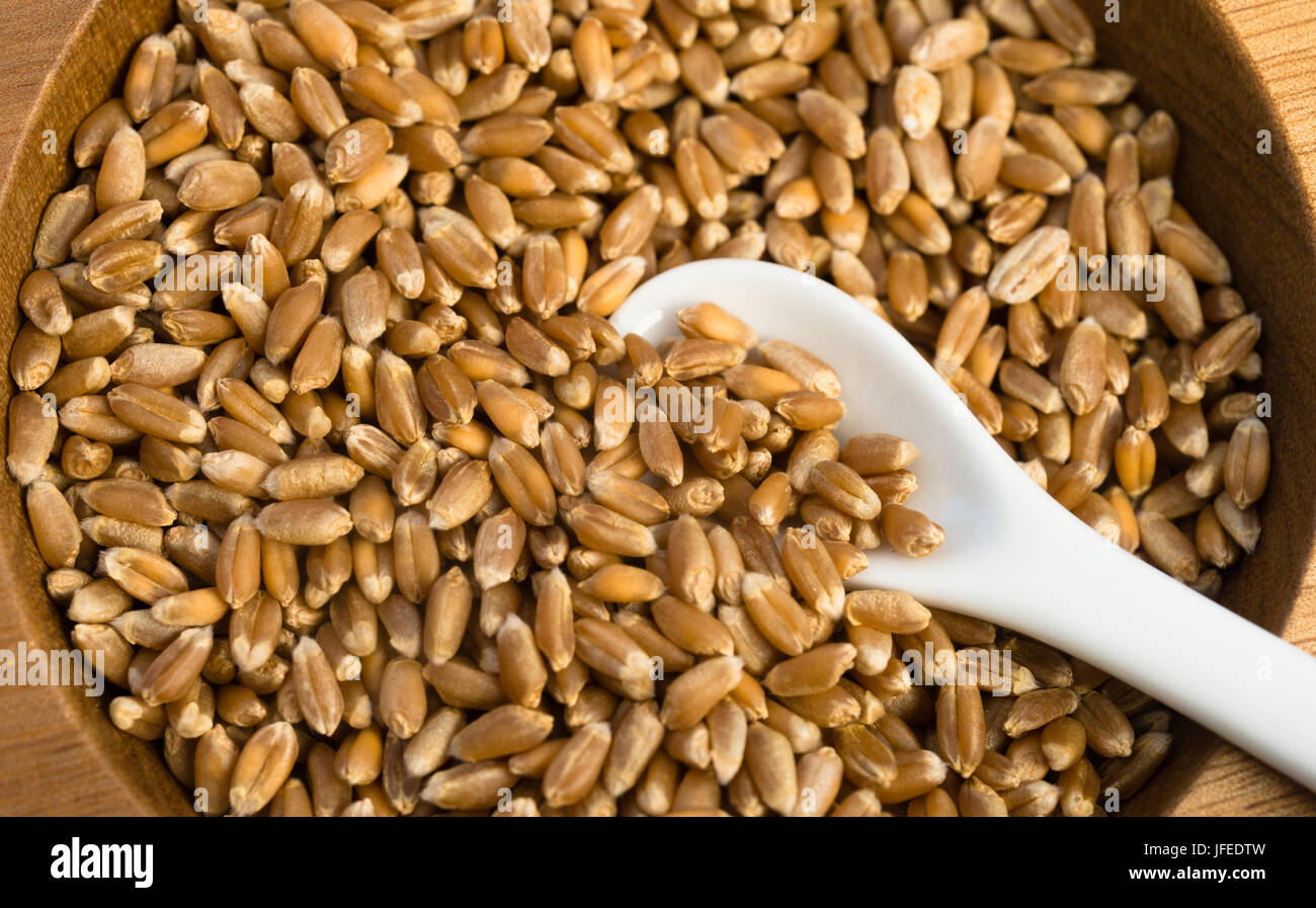 A cup of Red Wheat Berries with spoon Stock Photo Alamy