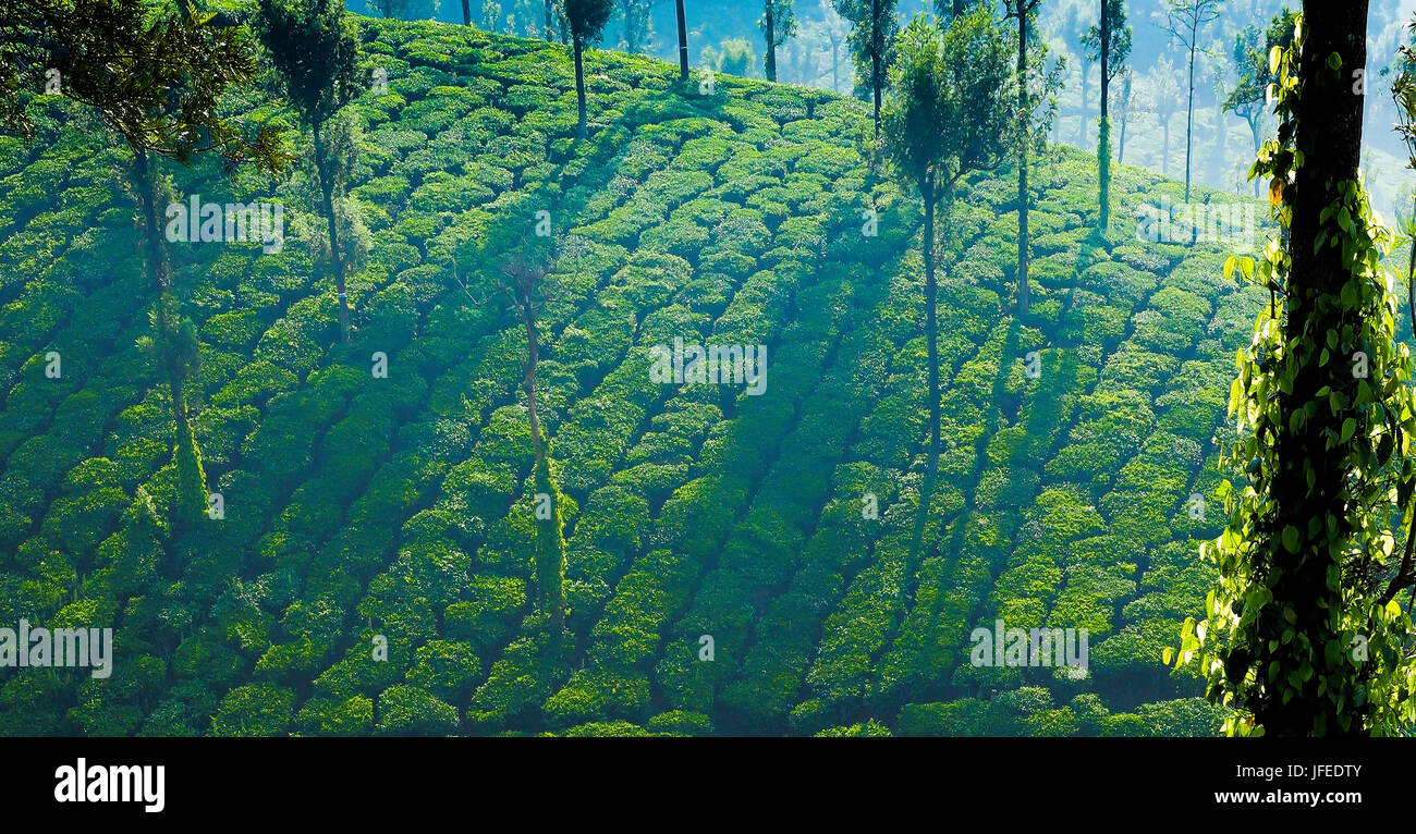 Nature Cover Photo Stock Photo - Alamy
