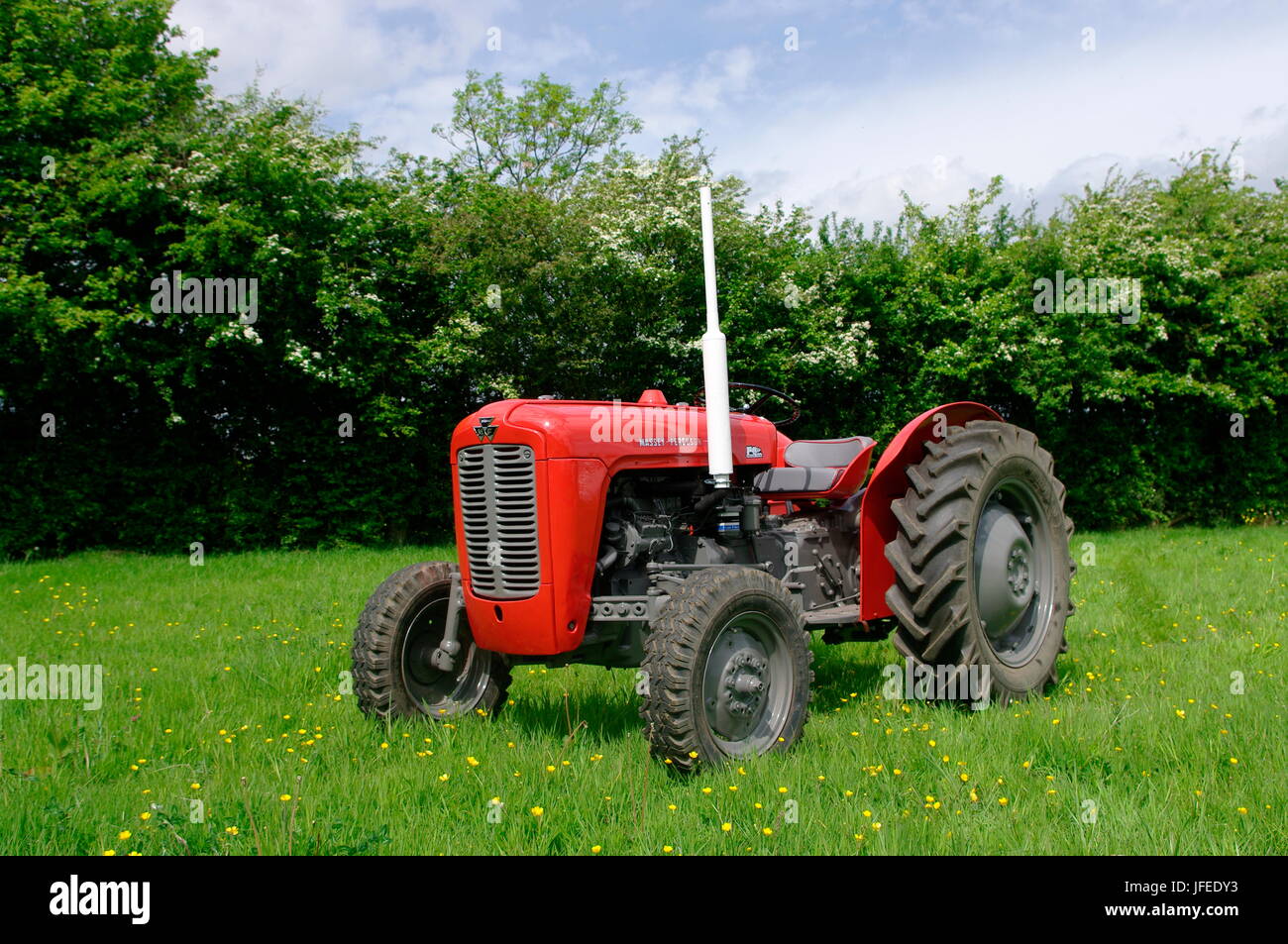 1962 Massey Ferguson MF35 tractor Stock Photo Alamy