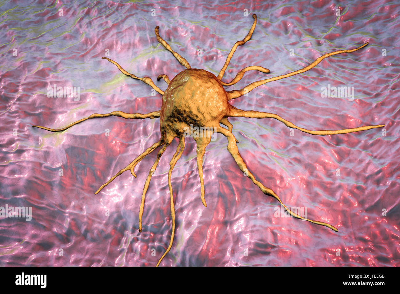 Cancer cell, computer illustration Stock Photo - Alamy