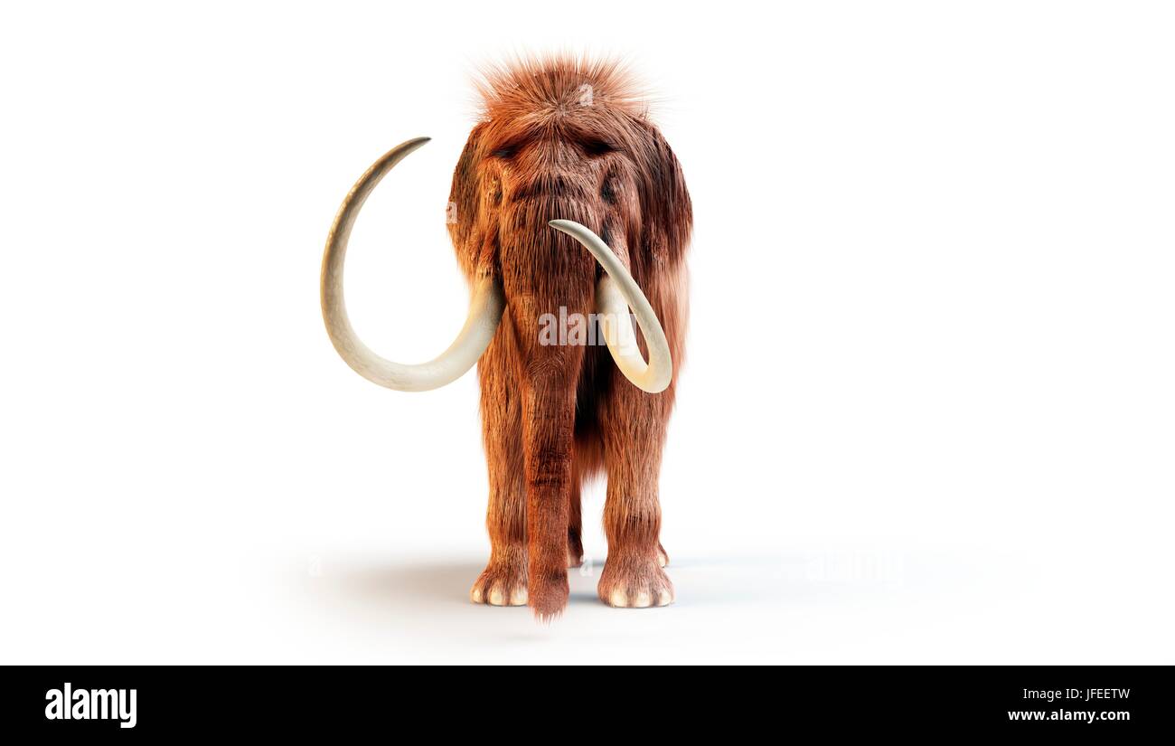 Woolly mammoth against white background, illustration. Stock Photo