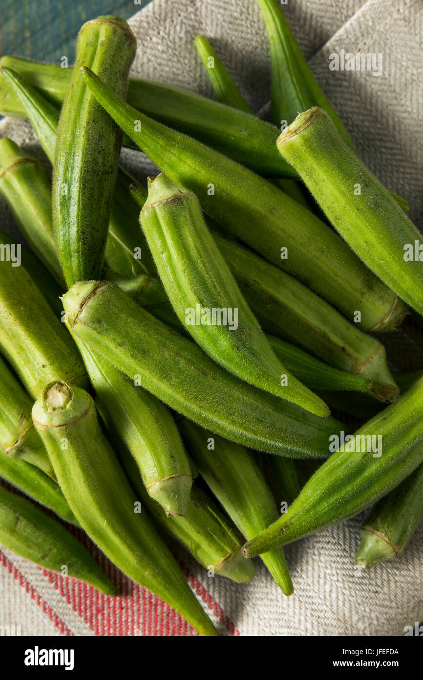 Raw Green Organic Okra Harvest Ready to Cook With Stock Photo Alamy