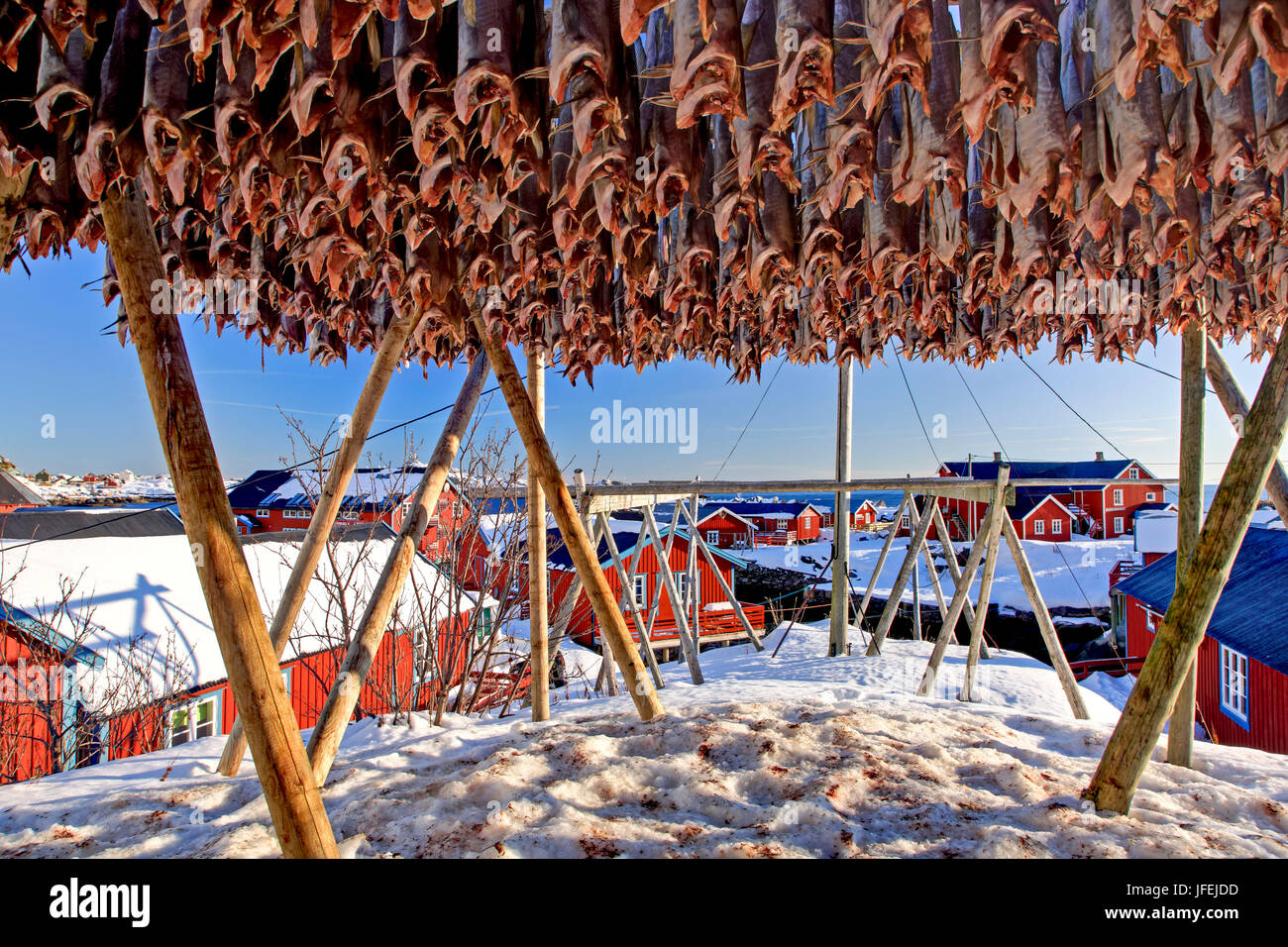 Cod fishing lofoten norway hi-res stock photography and images - Alamy