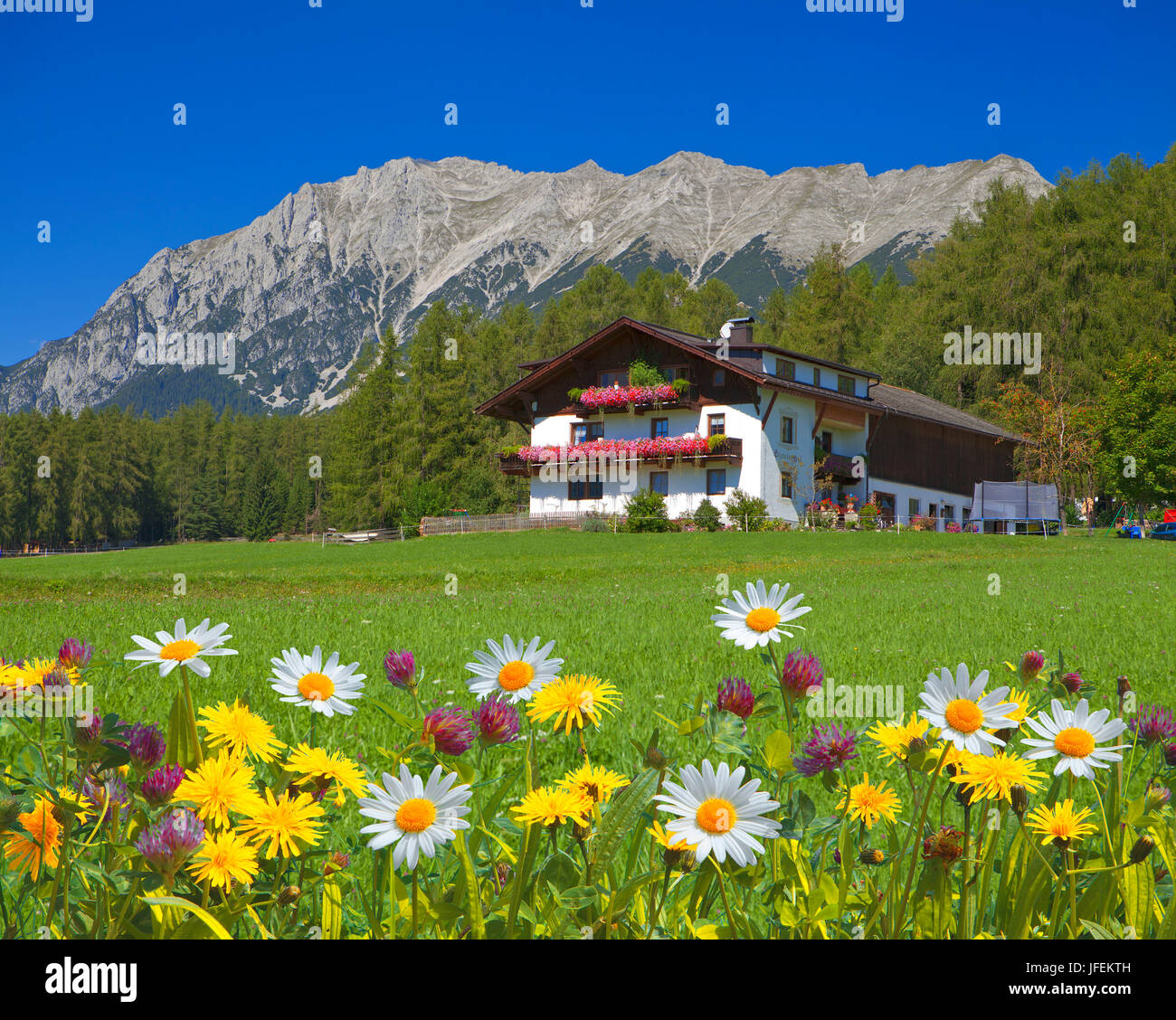 Austria, Tyrol, Obsteig, farm with Wannig (M) Stock Photo