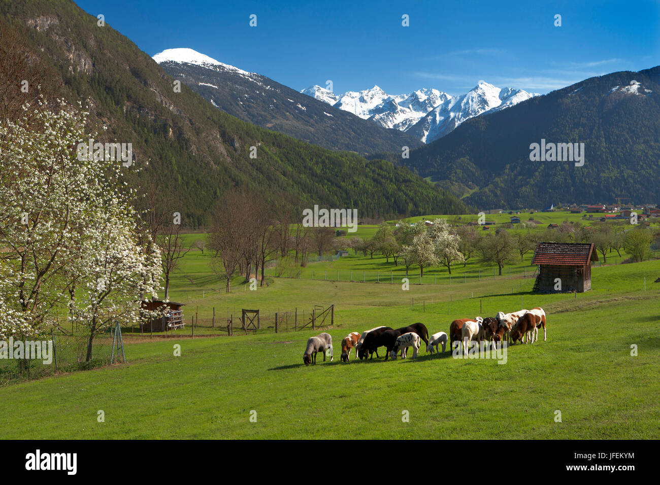 Austria, Tyrol, Gurgltal with Tarrenz Stock Photo