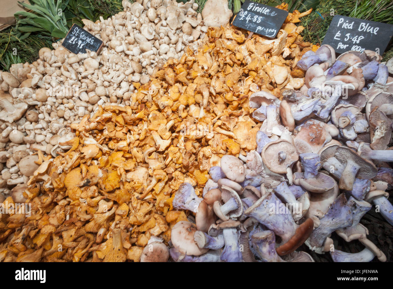 England, London, Southwark, Borough Market, Display of Wild Mushrooms Stock Photo