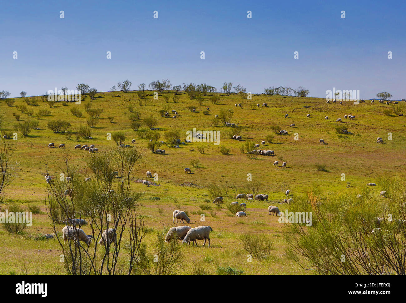 Spain, Andalucia Region, Cordoba Province, landscape Stock Photo
