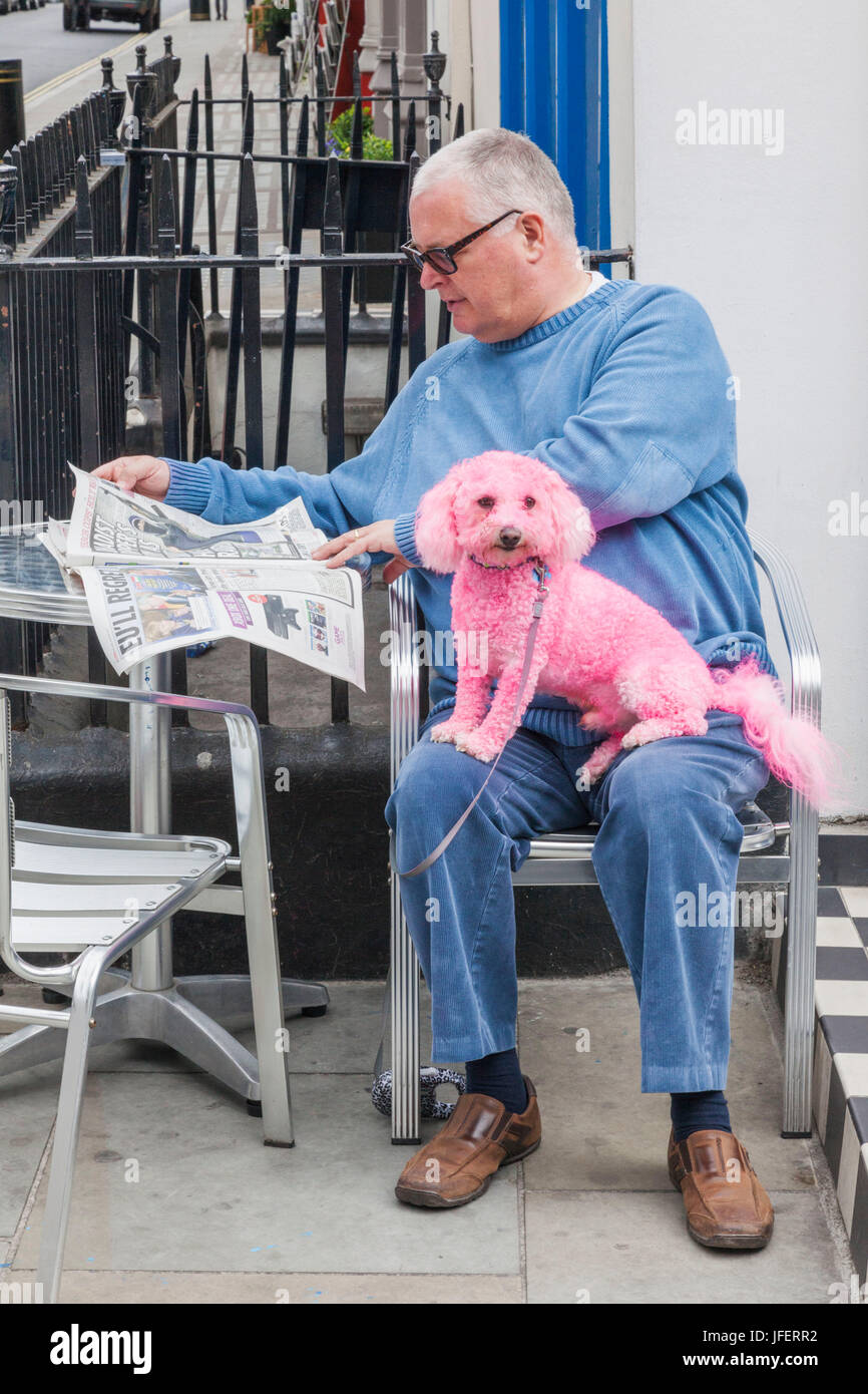 England, London, The Annual Gay Pride Parade, Parade Participant with Pink Poodle Stock Photo