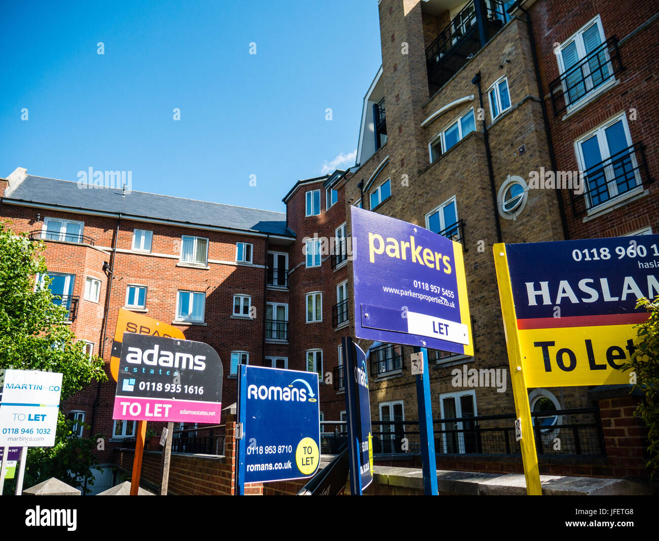 To Let Signs, Block of Flats, Reading, Berkshire, England, UK, GB. Stock Photo