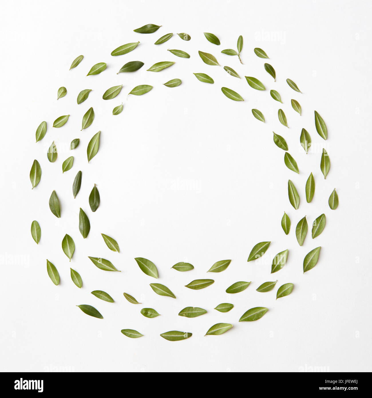 round frame of leaves Stock Photo