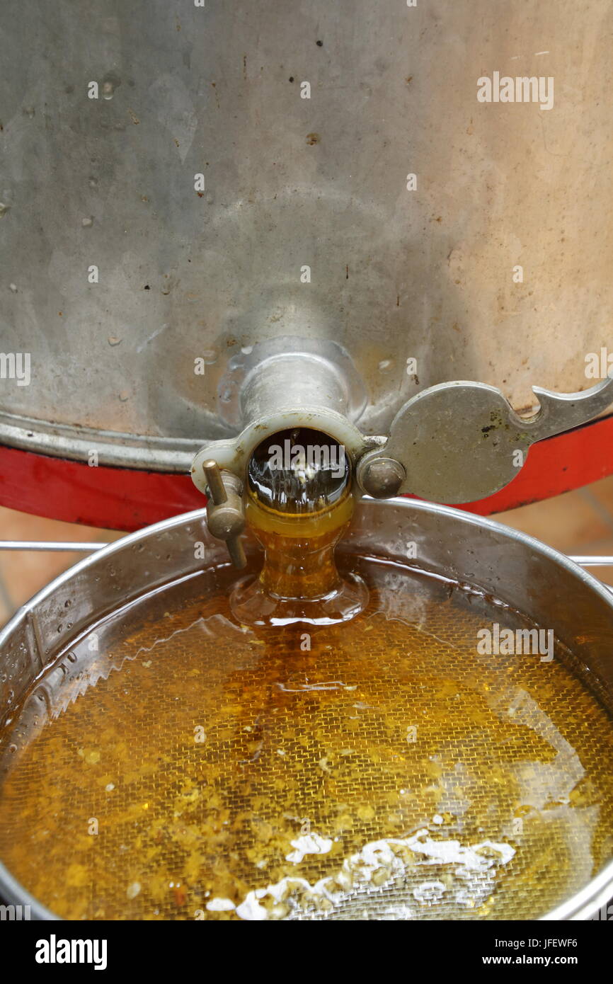 Honey running out of a honey extractor Stock Photo