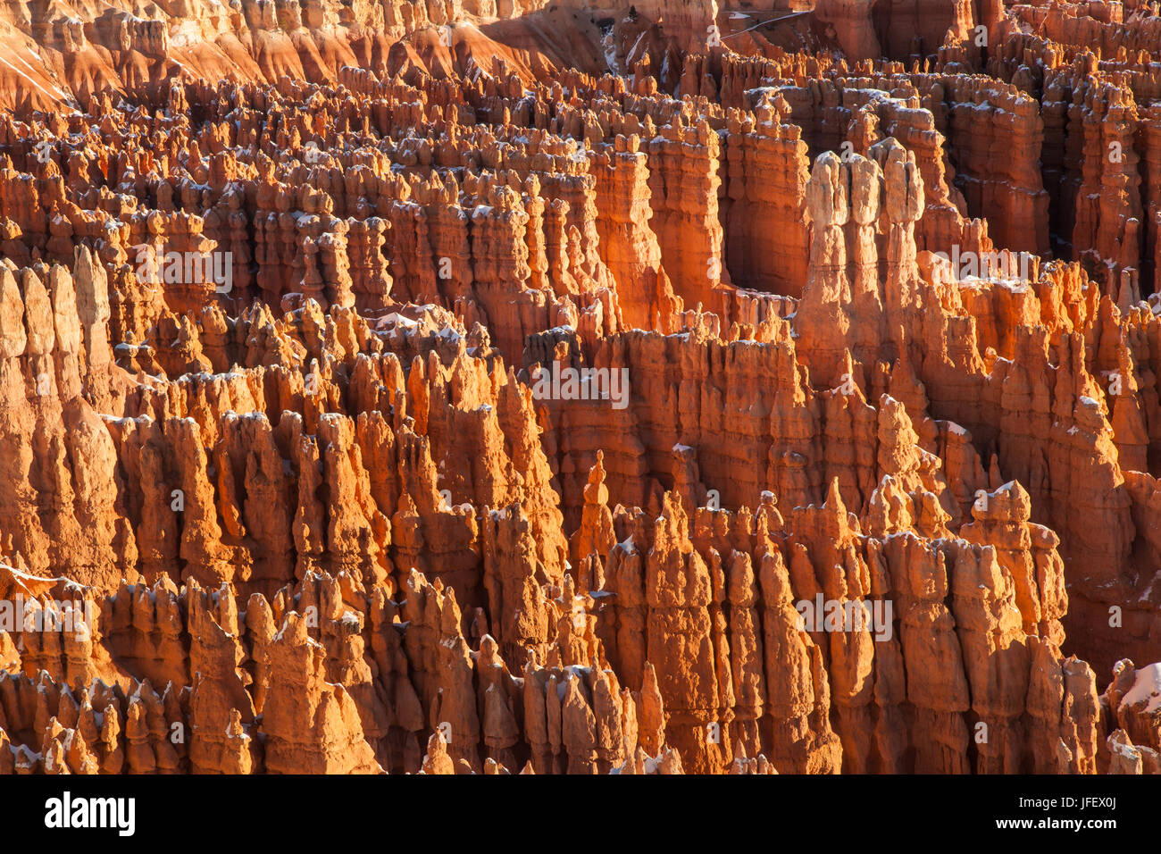 Hoodoos in the Amphitheater of Bryce Canyon National Park, Utah Stock Photo