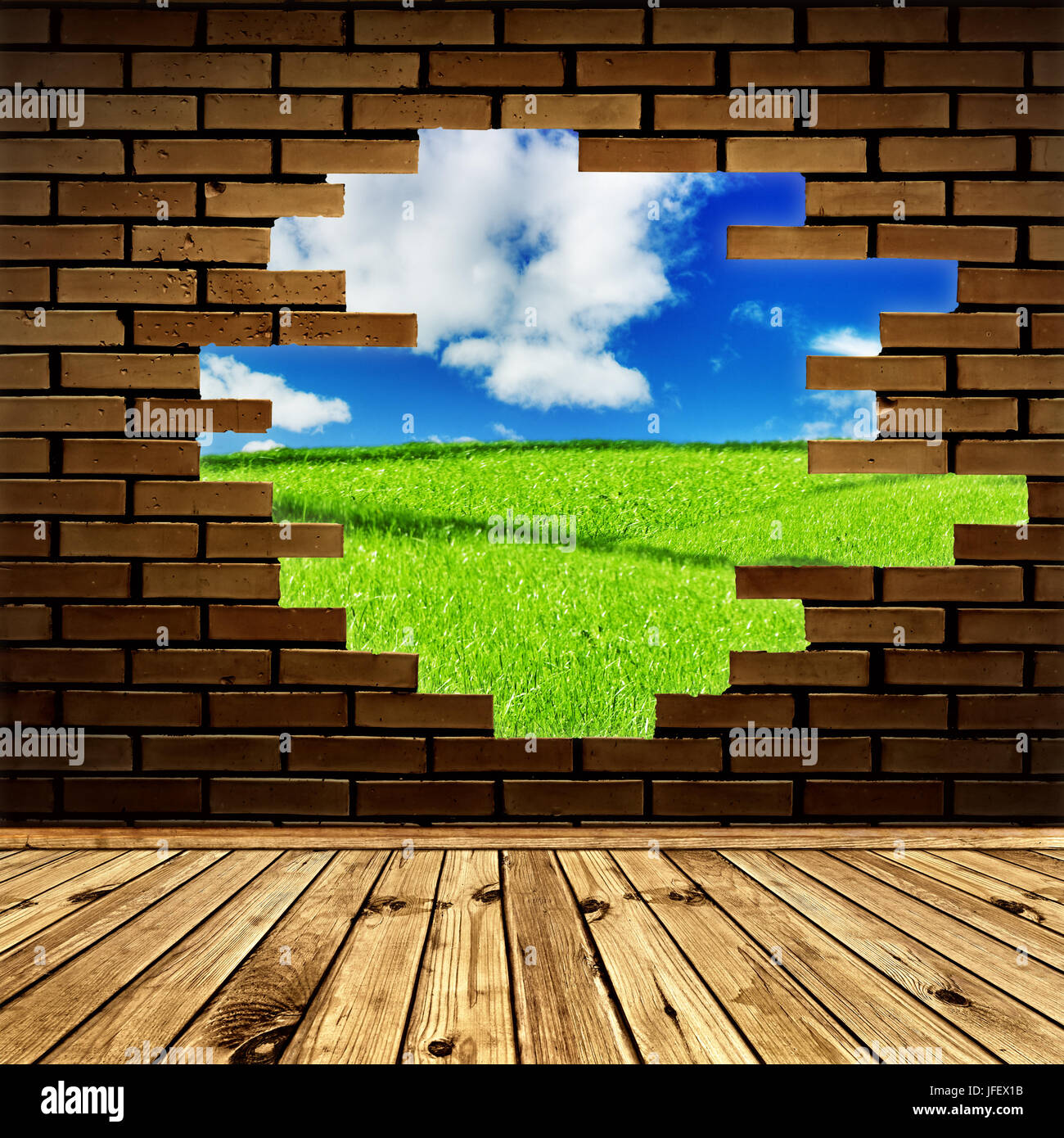 My Image 10