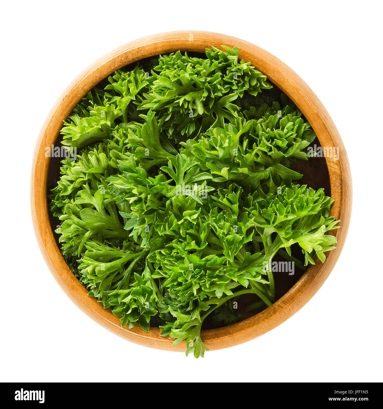 Fresh curly parsley leaves in wooden bowl. Green leaves of Petroselinum crispum, used as herb, spice and vegetable. Isolated macro food photo close up Stock Photo